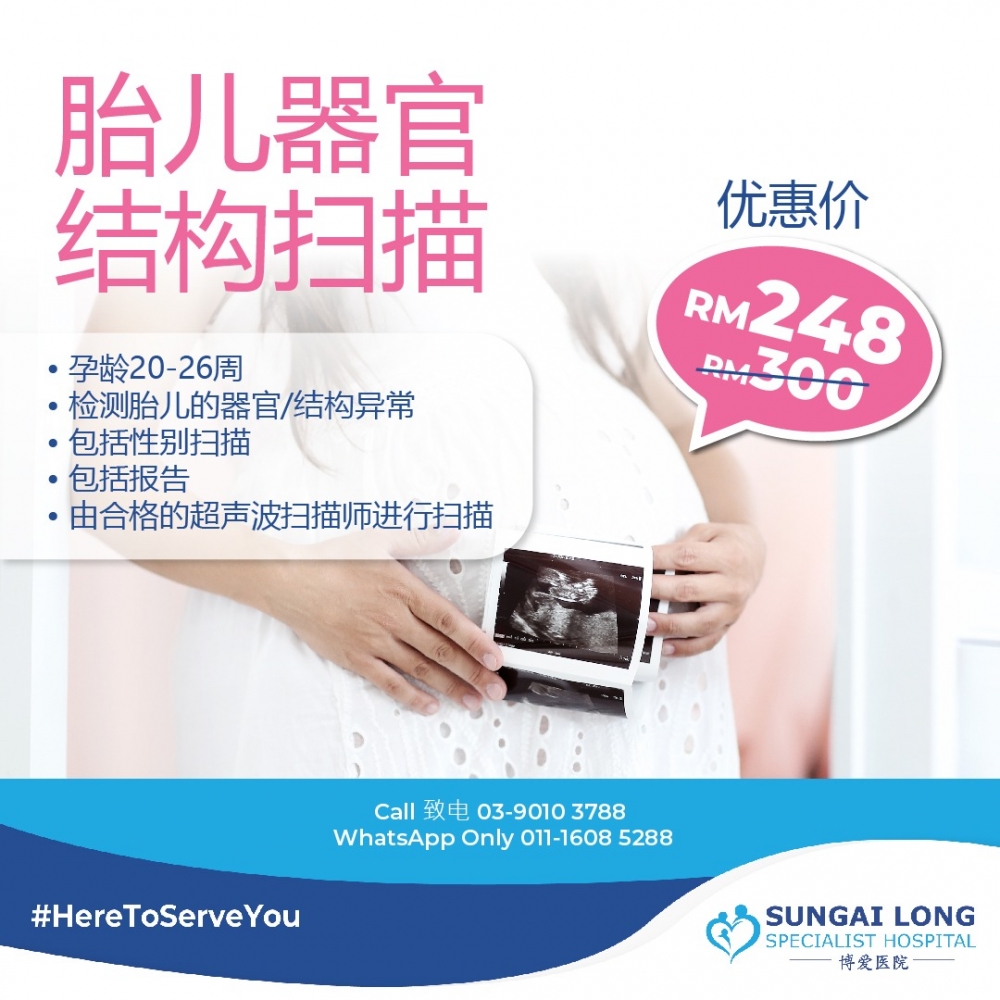 2D Detailed Pregnancy Scan