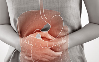 Gastroenterology (Stomach & Colon)